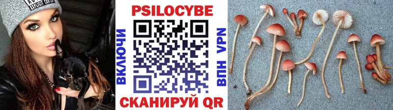 Псилоцибиновые грибы мицелий  Вуктыл 